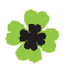 clover.gif